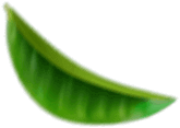 Green leaf